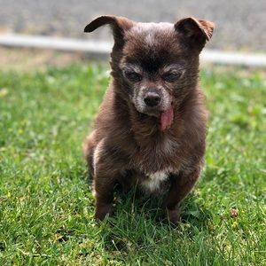 Meet your Posher, Teanna